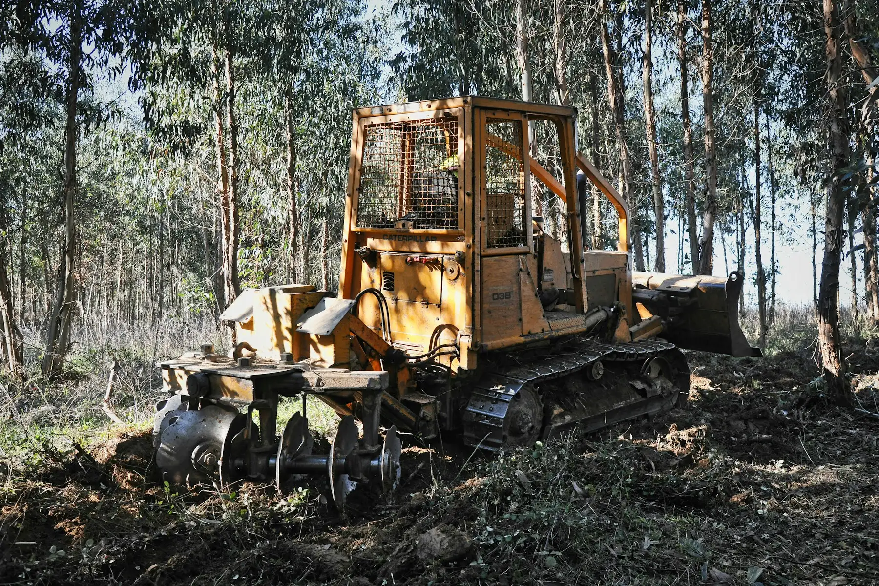 Tracked machine with a cutter head grinding standing brush in a stand of trees