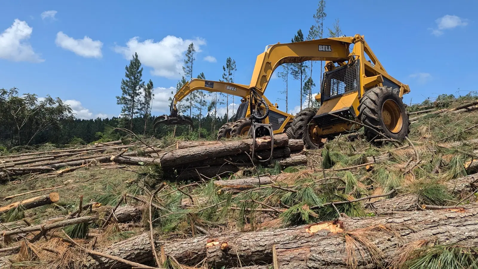 Tracked machine working through felled timber on a cleared tract